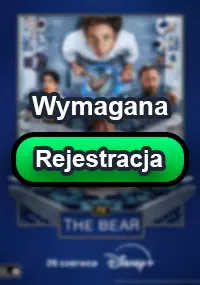The Bear